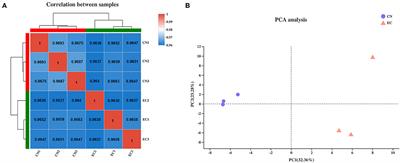 Transcriptome Analysis Identifies Strategies Targeting Immune Response-Related Pathways to Control Enterotoxigenic Escherichia coli Infection in Porcine Intestinal Epithelial Cells